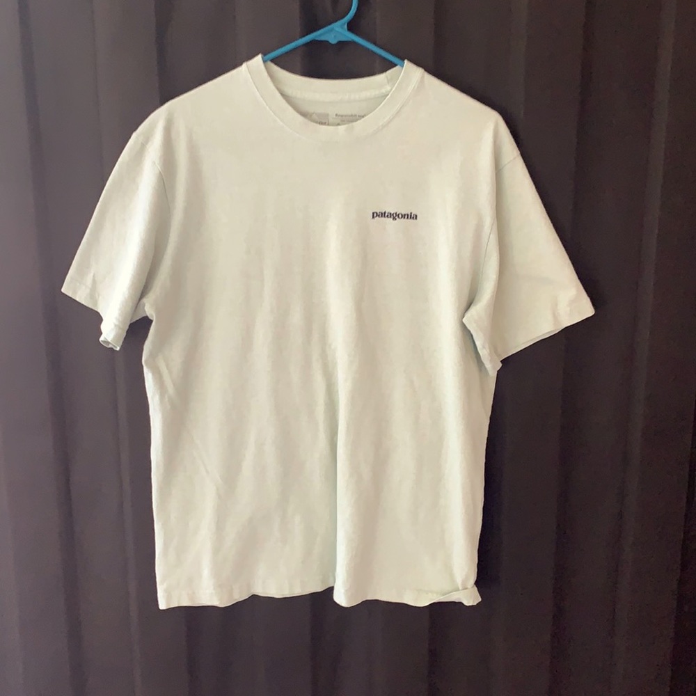 Men’s Patagonia shirt sleeve t-shirt.